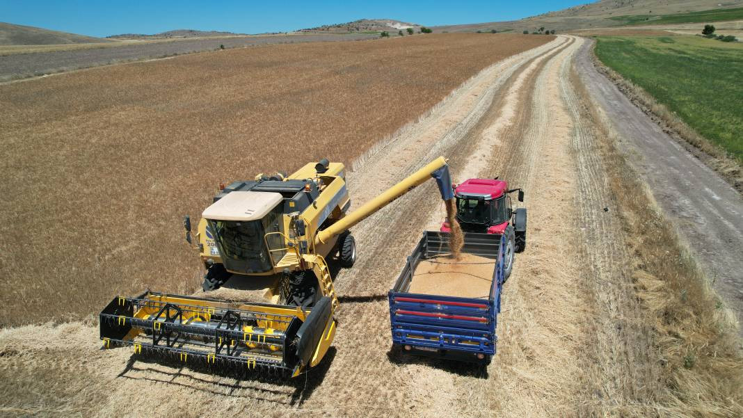 Çubuk Ovası'nda hububat hasadı başladı - Resim: 7